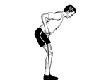 Bent Over Elastic Row